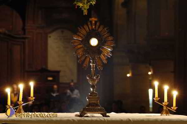 Nom de l'image : D1190563-1 — Description :  Paris - Toussaint 2004