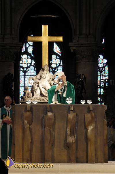 Nom de l'image : D1187648-1 — Description :