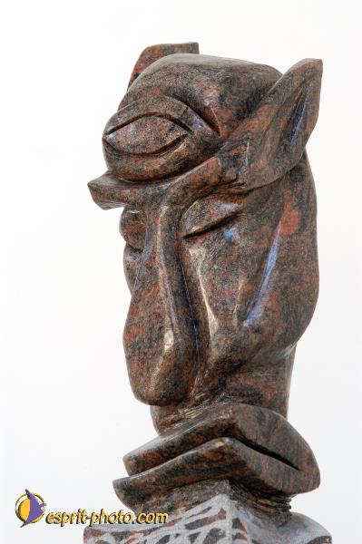 Nom de l'image : D1143523-nef-01 — Description :