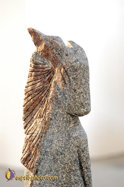 Nom de l'image : D1143578-nef-01 — Description :