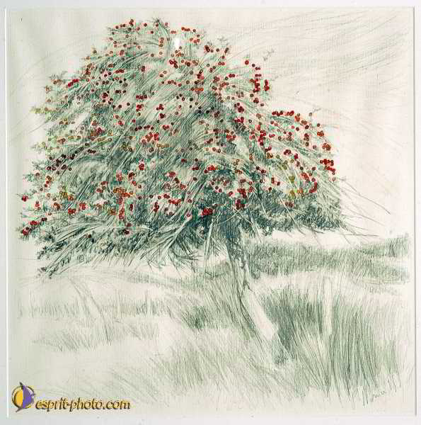 Nom de l'image : D1192319-nef-2 — Description :  Paris - Toussaint 2004