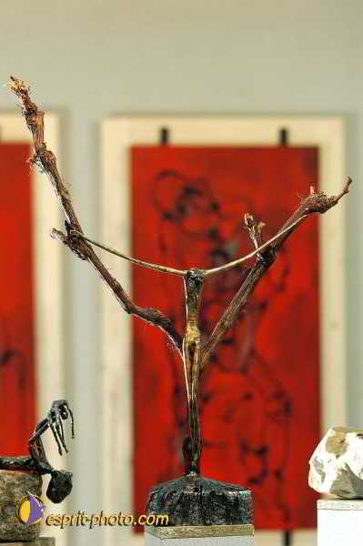 Nom de l'image : D1192365-nef-1 — Description :  Paris - Toussaint 2004