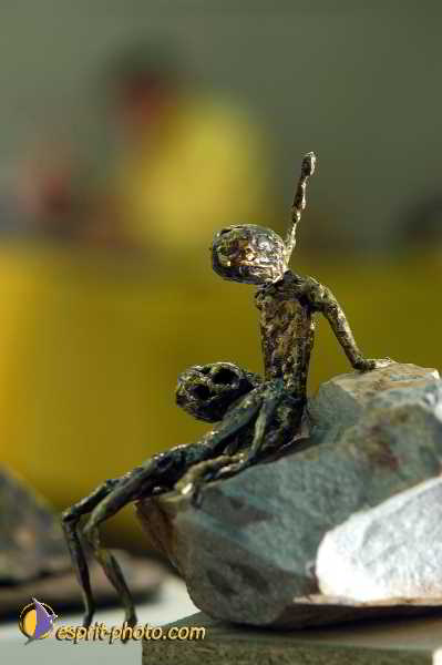 Nom de l'image : D1192380-nef-1 — Description :  Paris - Toussaint 2004