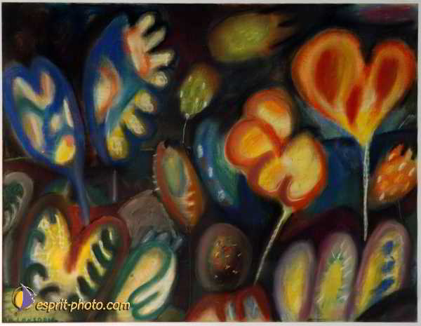 Nom de l'image : D1192382-nef-2 — Description :  Paris - Toussaint 2004