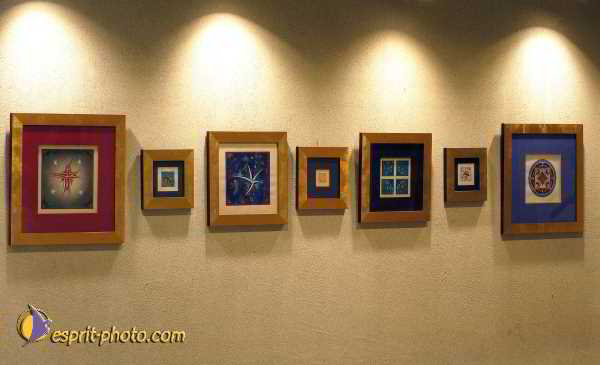 Nom de l'image : D1192396-nef-2 — Description :  Paris - Toussaint 2004