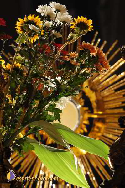 Nom de l'image : D1191644-1 — Description :  Paris - Toussaint 2004