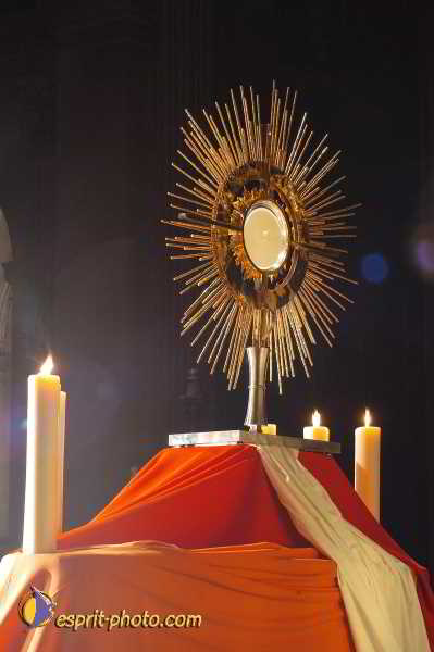 Nom de l'image : D1191645-1 — Description :  Paris - Toussaint 2004