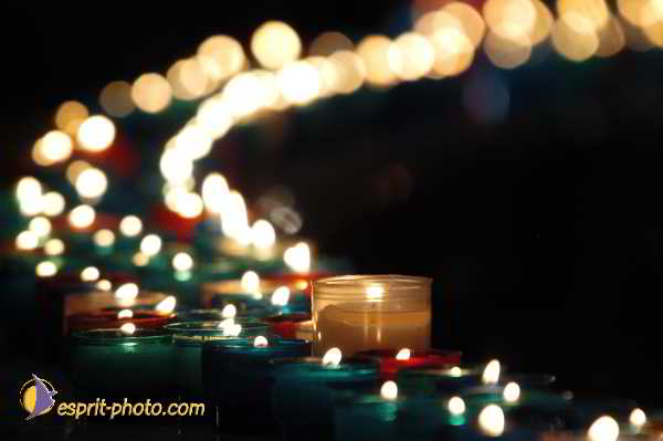 Nom de l'image : D1191653-1 — Description :  Paris - Toussaint 2004