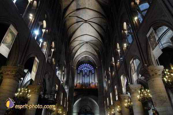 Nom de l'image : D1192093-1 — Description :  Toussaint 2004 - Messe avec les sans abri