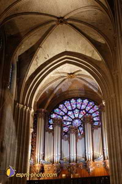 Nom de l'image : D1192132-1 — Description :  Toussaint 2004 - Messe avec les sans abri