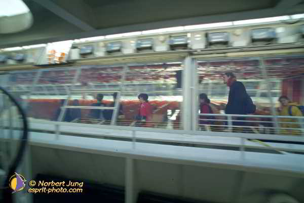 Nom de l'image : D1188G215-1 — Description :  Paris - Toussaint 2004