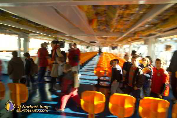 Nom de l'image : D1188G216-1 — Description :  Paris - Toussaint 2004