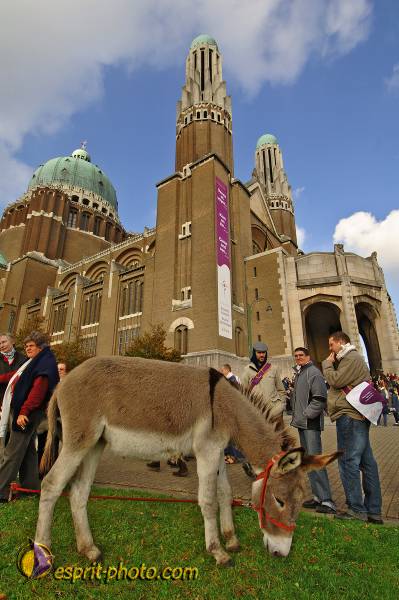 Nom de l'image : BT2006_6853_D2194905_1 — Description :