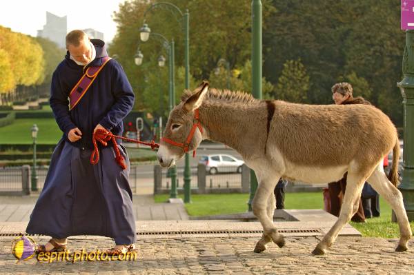 Nom de l'image : BT2006_6908_D2194960_1 — Description :