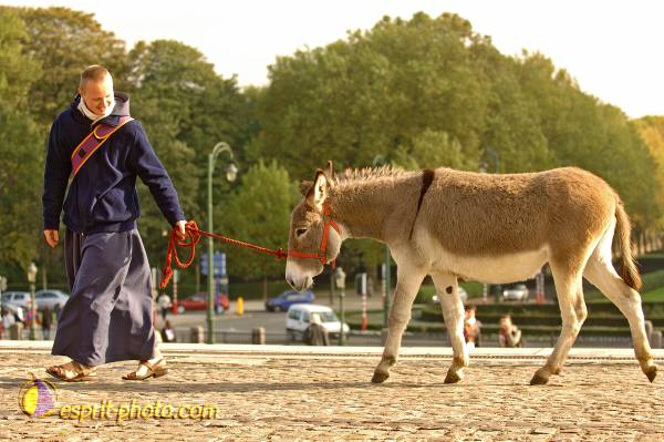 Nom de l'image : BT2006_6920_D2194972_1 — Description :