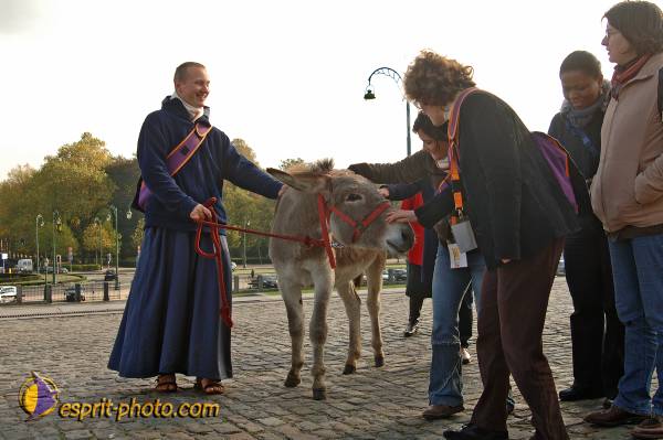 Nom de l'image : BT2006_6924_D2194976_1 — Description :