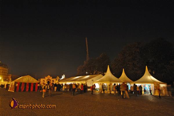 Nom de l'image : BT2006_7395_D2195889_1 — Description :