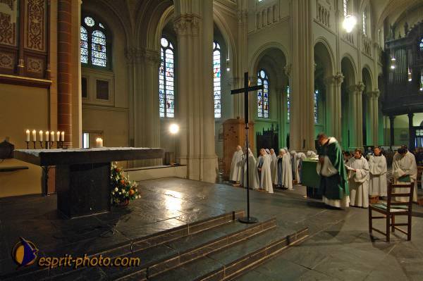 Nom de l'image : BT2006_1690_D2190142_1 — Description :