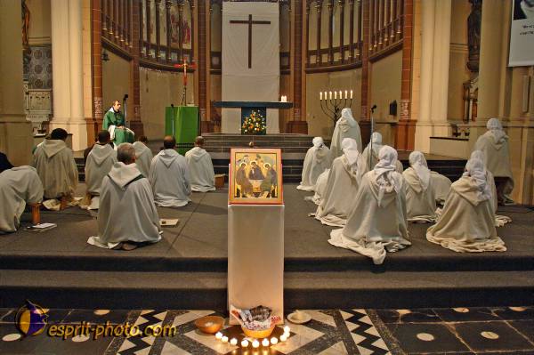 Nom de l'image : BT2006_2003_E2061889_1 — Description :