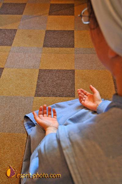 Nom de l'image : BT2006_2347_D2190648_1 — Description :