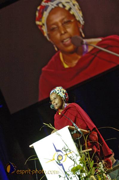 Nom de l'image : BT2006_2990_E2062076_1 — Description :