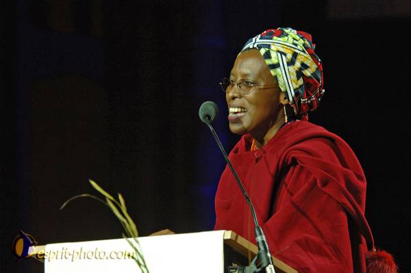 Nom de l'image : BT2006_3042_D2191216_1 — Description :