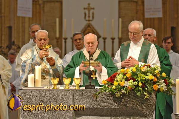 Nom de l'image : BT2006_0090_D2188642_1 — Description :