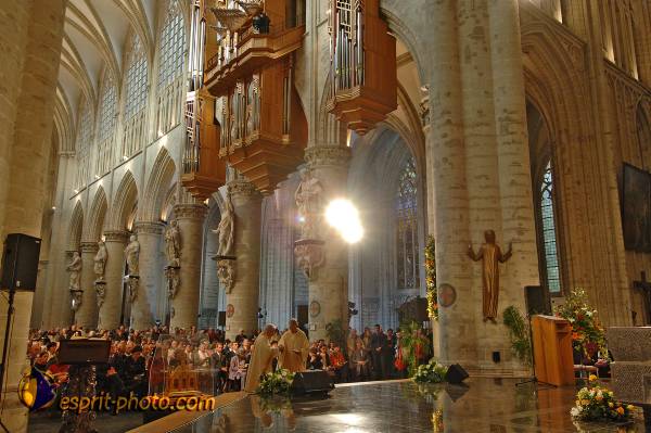 Nom de l'image : BT2006_3337_D2191513_1 — Description :