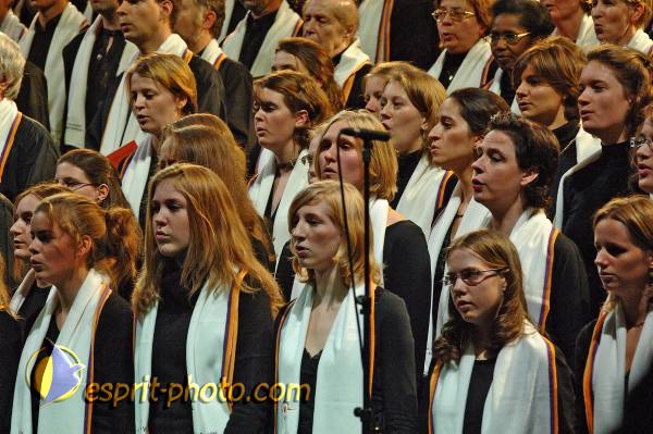 Nom de l'image : BT2006_0625_E2061699_1 — Description :