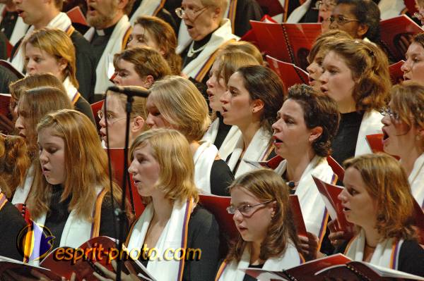 Nom de l'image : BT2006_0783_E2061741_1 — Description :