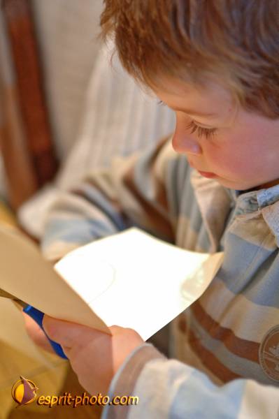 Nom de l'image : BT2006_2634_D2190865_1 — Description :