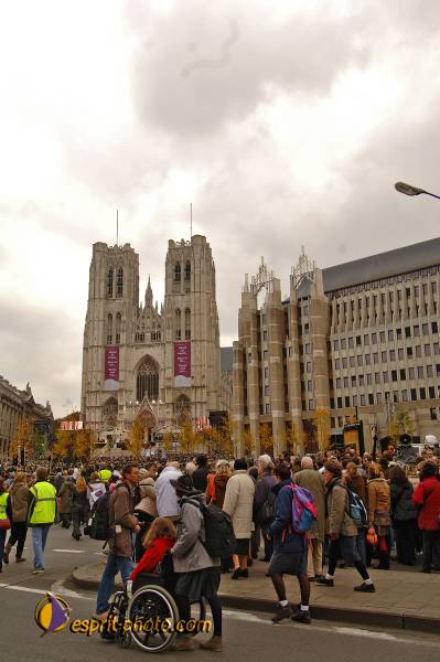 Nom de l'image : BT2006_8803_D2197187_1 — Description :