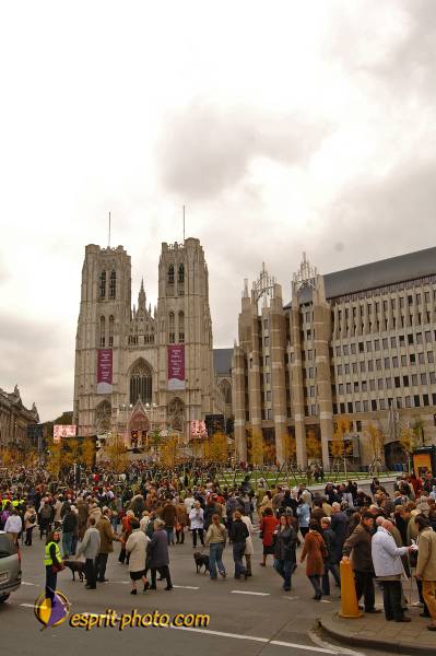 Nom de l'image : BT2006_8806_D2197188_1 — Description :