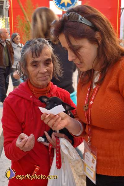 Nom de l'image : E2004086-1 — Description :