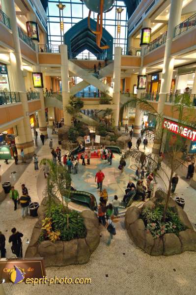 Nom de l'image : E2004182-1 — Description :