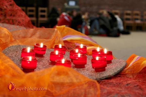 Nom de l'image : 077_TdBois_20081230_1018 — Description :