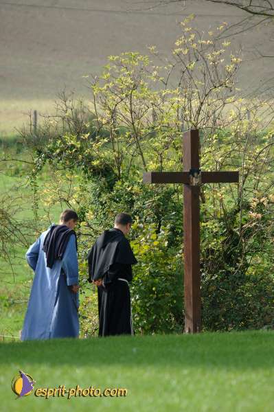 Nom de l'image : D2058878_1 — Description :  Sister Briege McKenna - Retraite de 950 prêtres à Ars