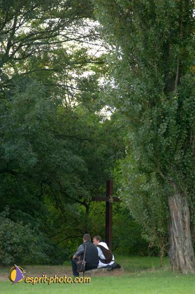 Nom de l'image : D2059304_1 — Description :  Sister Briege McKenna - Retraite de 950 prêtres à Ars