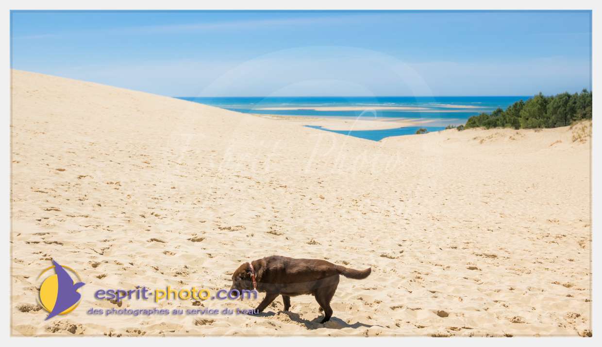 Nom de l'image : S1017901_(c)esprit-photo.com — Description :