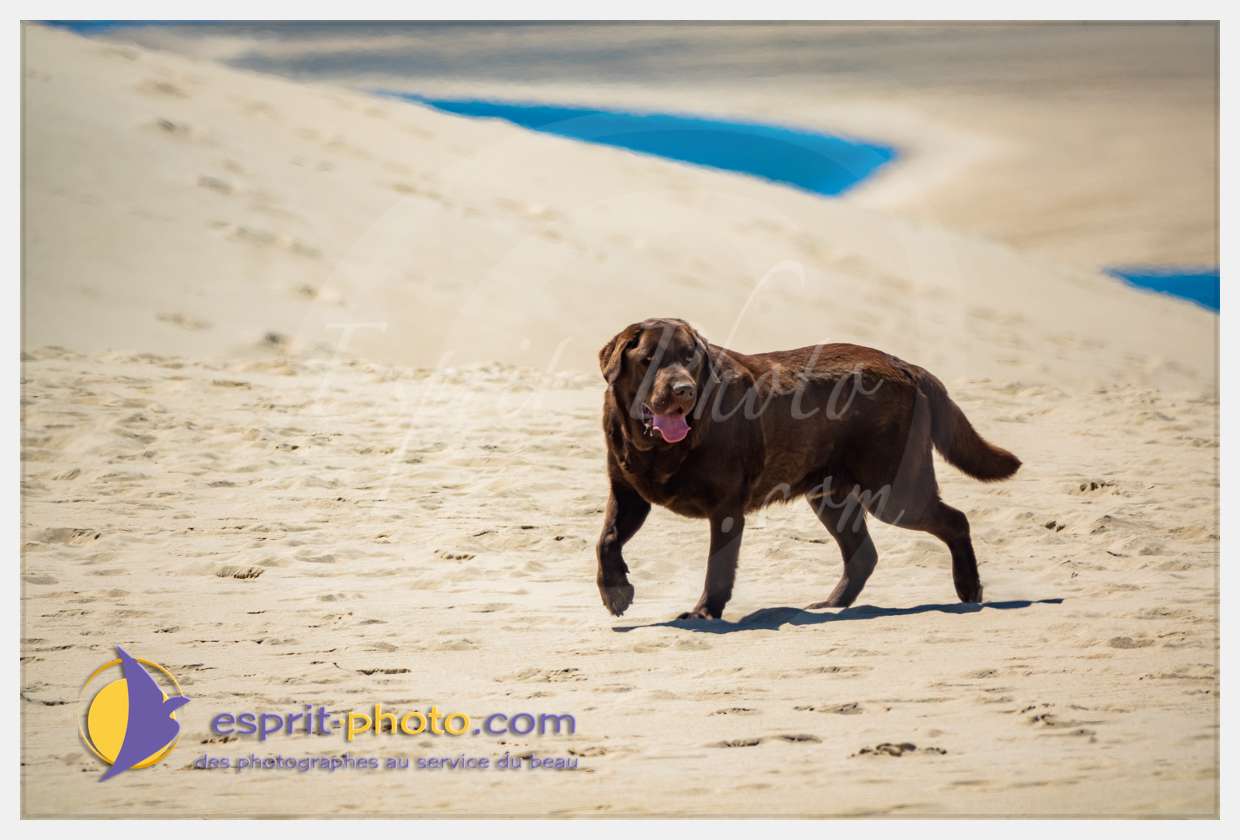 Nom de l'image : S1018311_(c)esprit-photo.com — Description :