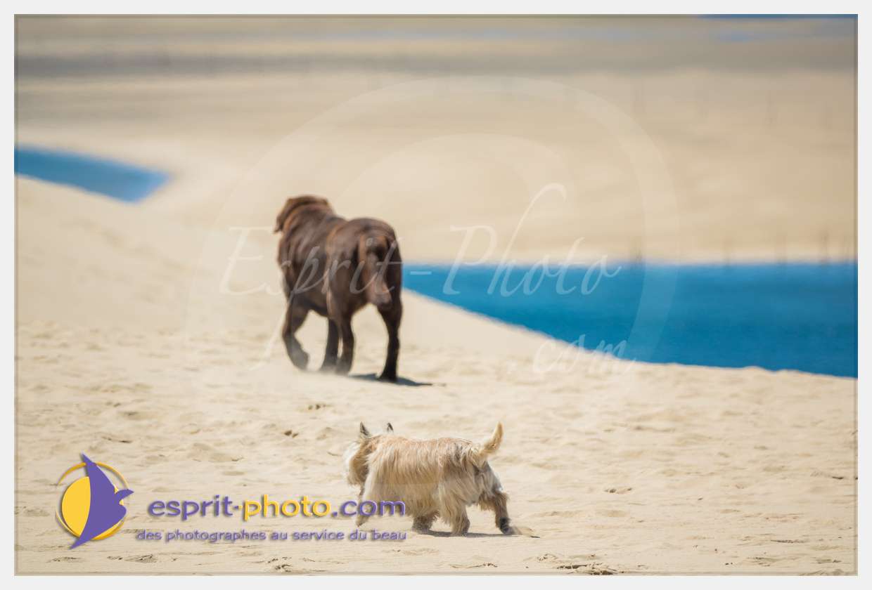 Nom de l'image : S1018323_(c)esprit-photo.com — Description :