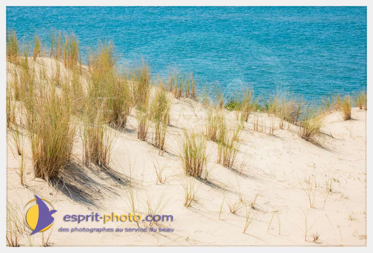 Nom de l'image : S1018615_(c)esprit-photo.com — Description :