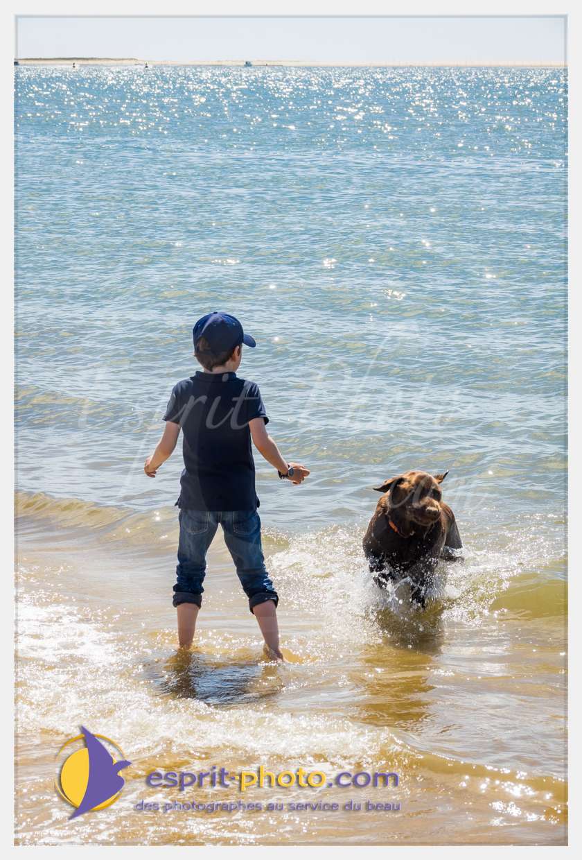 Nom de l'image : S1018761_(c)esprit-photo.com — Description :