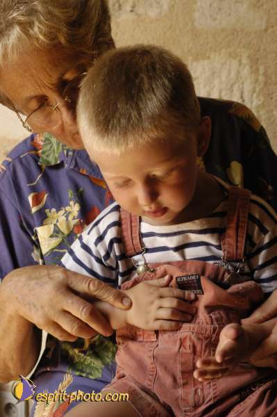 Nom de l'image : DSC_2280 — Description :