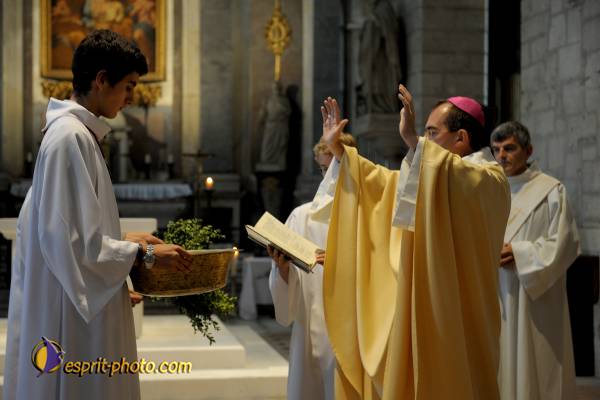 Nom de l'image : D30079618_1 — Description :