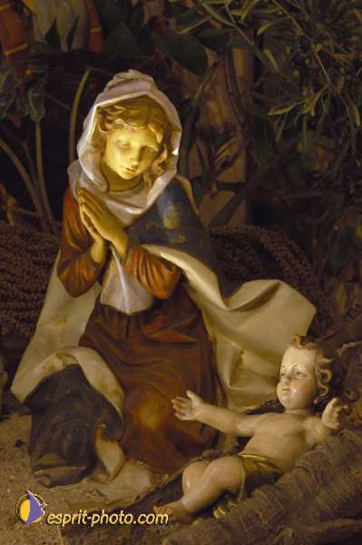 Nom de l'image : DSC_2930 — Description :