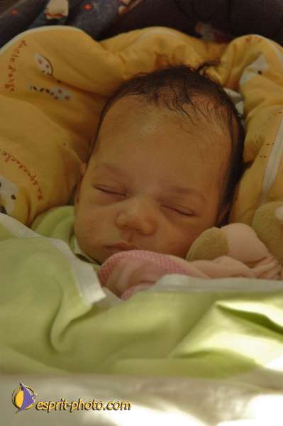 Nom de l'image : D2060172_1 — Description :