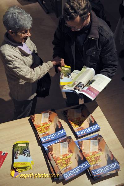 Nom de l'image : D30043614_1 — Description :