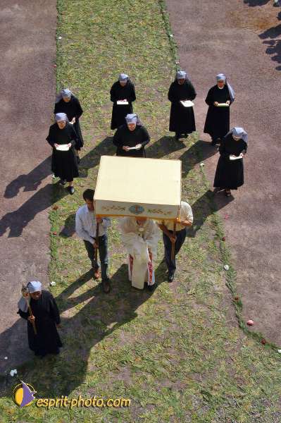 Nom de l'image : D1144559-01 — Description :