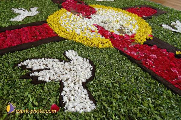 Nom de l'image : D1144665-01 — Description :